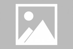 漯河爆料新闻最新情况,突发事件引发社会关注，详情揭晓！